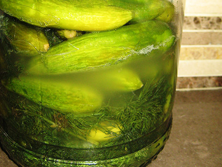 Pickled Cucumbers in Salt